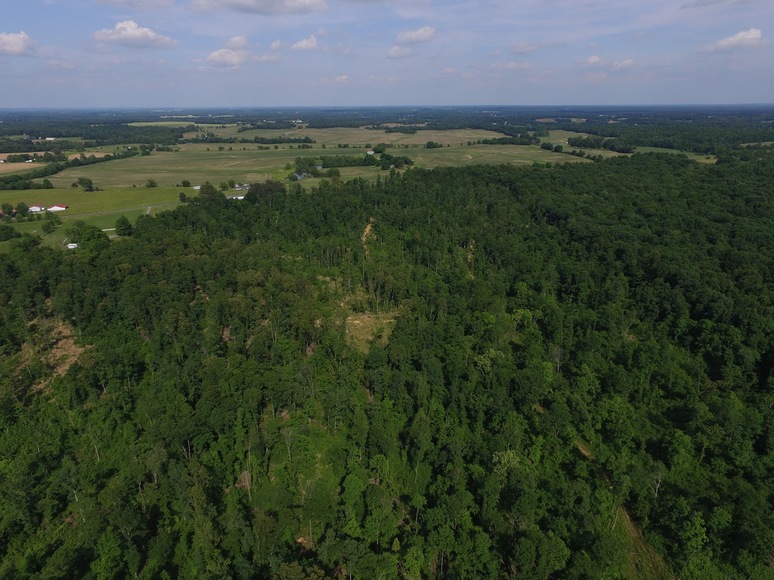 Image for 8000 South Road Cadiz, Ky 42211