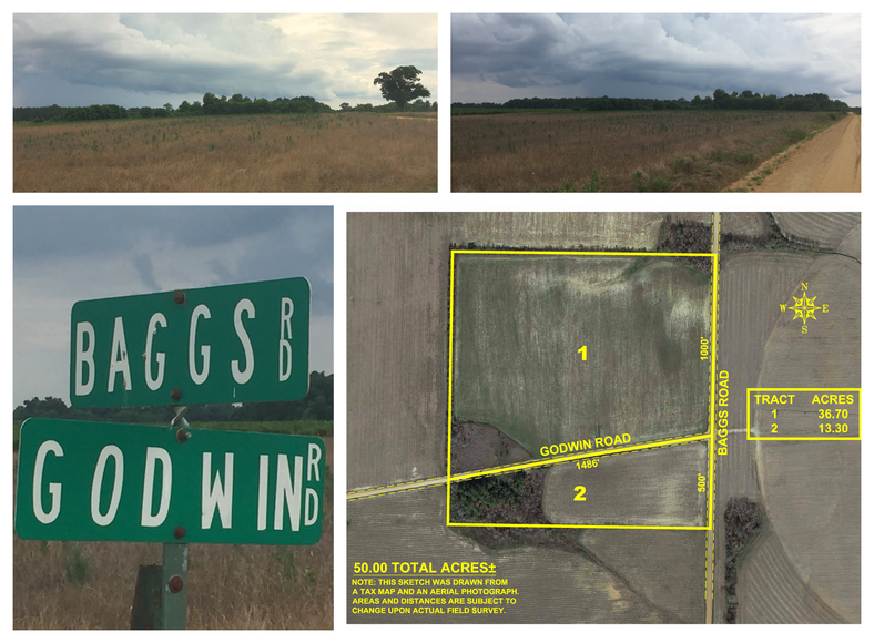 Image for Now Selling Absolute! Lender Ordered 50+/- Acre Farm Located in Dooly County, Georgia