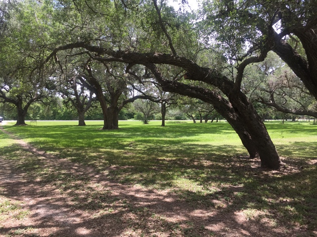 Image for Ganado Property Auction