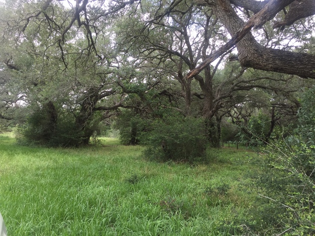 Image for Ganado Property Auction