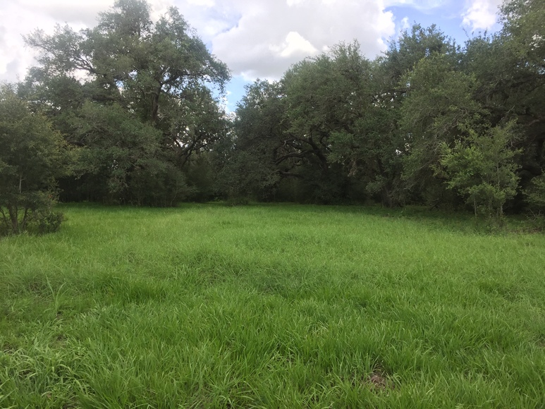 Image for Ganado Property Auction