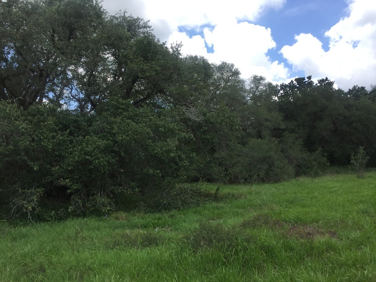 Image for Ganado Property Auction