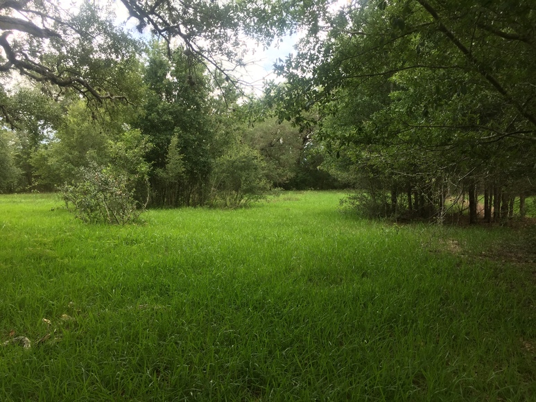 Image for Ganado Property Auction