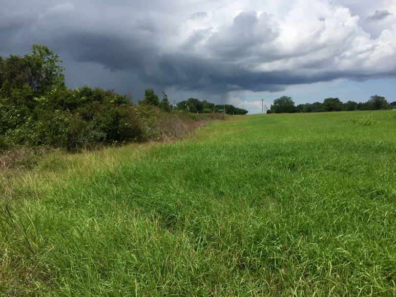 Image for Ganado Property Auction