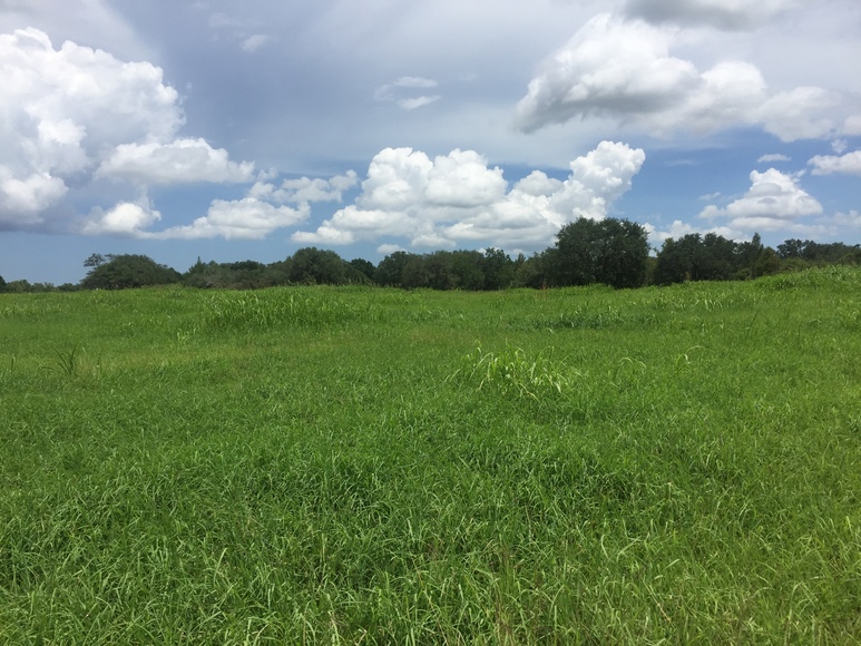 Image for Ganado Property Auction