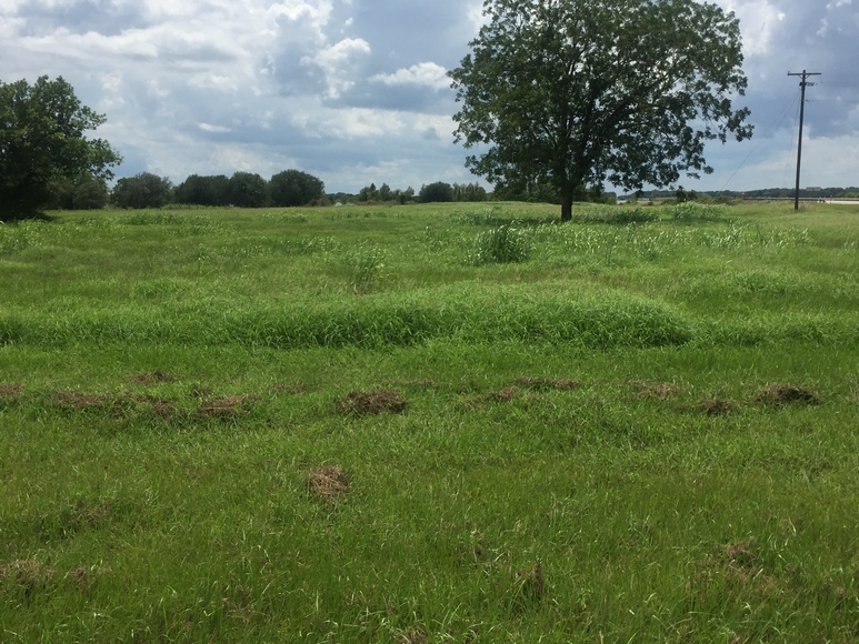 Image for Ganado Property Auction