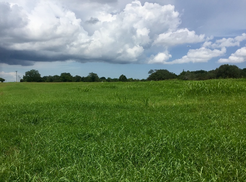 Image for Ganado Property Auction