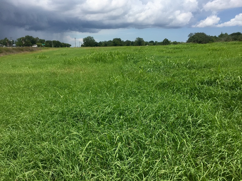 Image for Ganado Property Auction