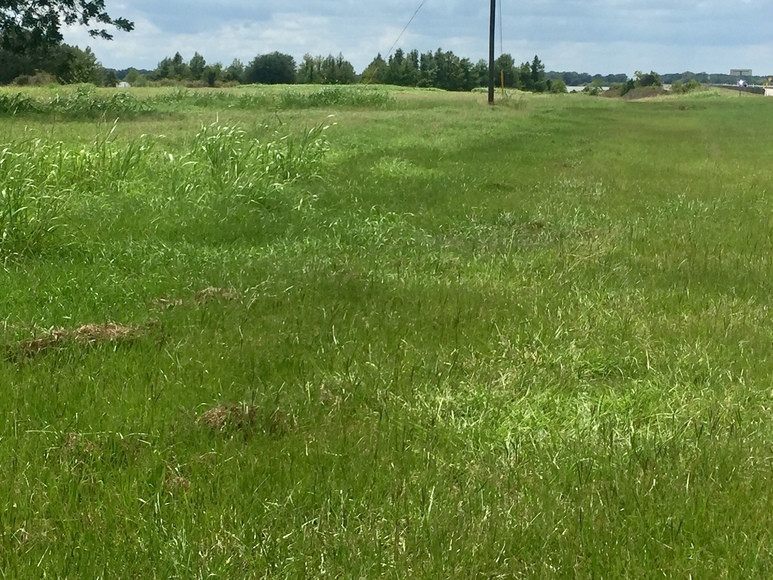 Image for Ganado Property Auction