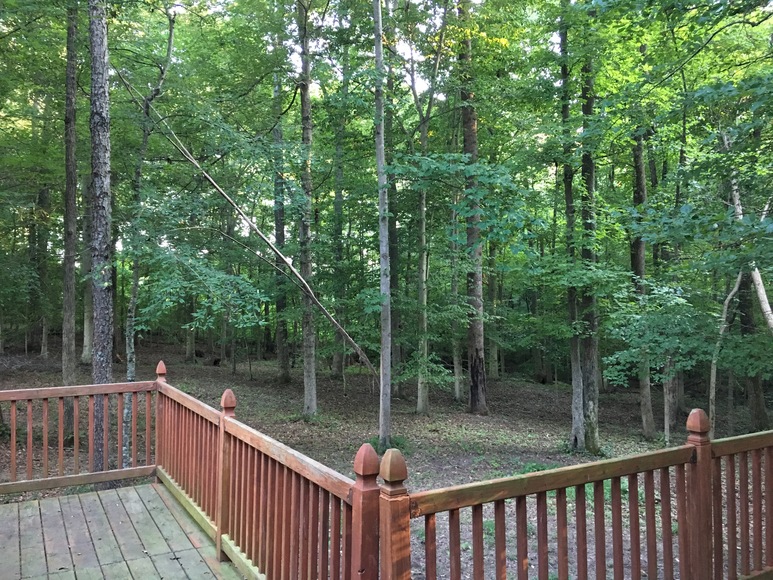 Image for 249 MUDDY FORK LANE