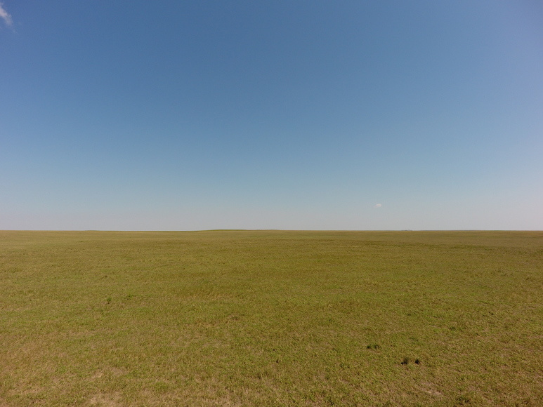 Image for PLATTNER FAMILY AUCTION - SUCCESSFUL AUCTION - SOLD $793,500