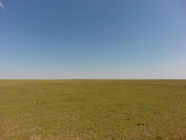 Image for PLATTNER FAMILY AUCTION - SUCCESSFUL AUCTION - SOLD $793,500