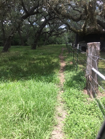 Image for Combination - Total of 12.43+/- Acres Ganado, TX - on BOTH Sides of Public Boat Ramp'