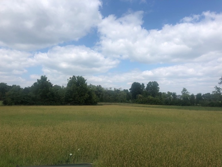 Image for Grove City Real Estate with Acreage