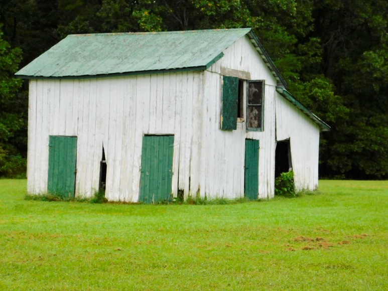 Image for 5 BR Farm House & Several Outbuildings on 14 +/- Acres in Orange County, VA--Selling to the Highest Bidder!!