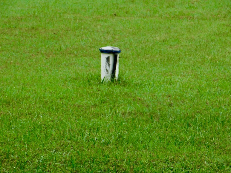 Image for 5 BR Farm House & Several Outbuildings on 14 +/- Acres in Orange County, VA--Selling to the Highest Bidder!!