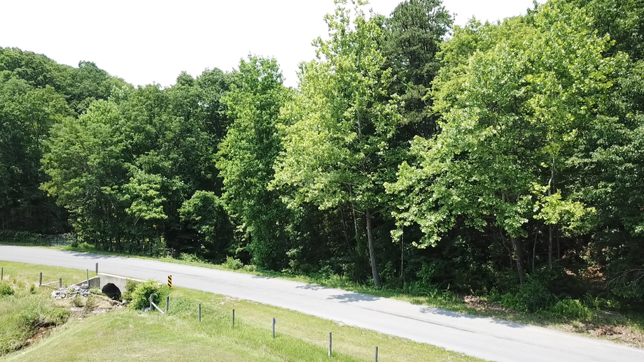 Image for 383 Wooded Acres