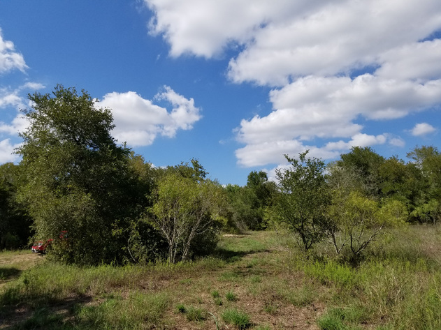 Image for 3041 Farm To Market Road 1704 - Elgin 78621, Bastrop County