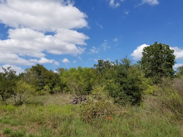Image for 3041 Farm To Market Road 1704 - Elgin 78621, Bastrop County