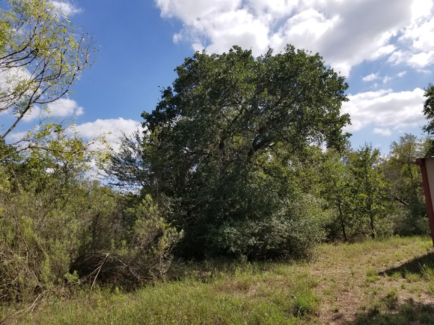 Image for 3041 Farm To Market Road 1704 - Elgin 78621, Bastrop County