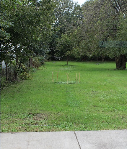 homes for sale clarke co va