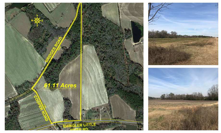 61 +/ Acres Located in Worth County,