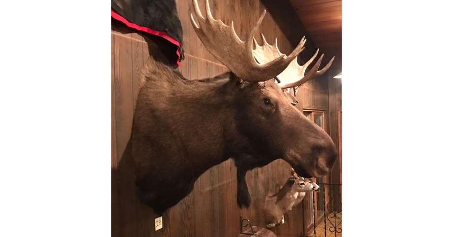 Image for Johnson Estate Online Auction