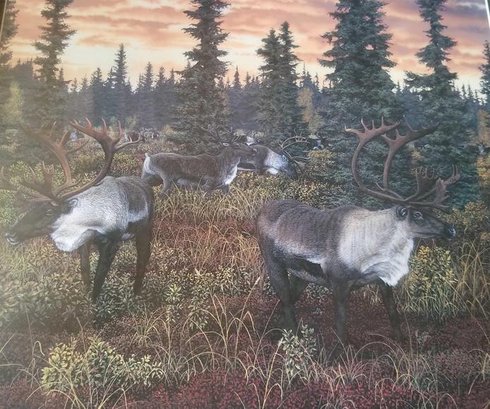 Image for Anthony Estate Online Auction