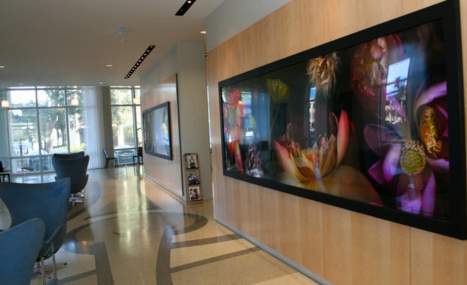 Image for 165 Condominiums 