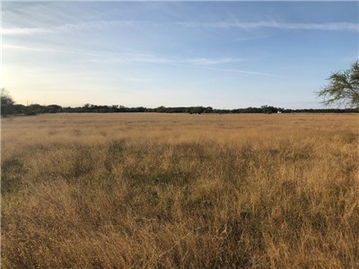 Image for 849 Rutherford Lane, Goliad 77963, Goliad County