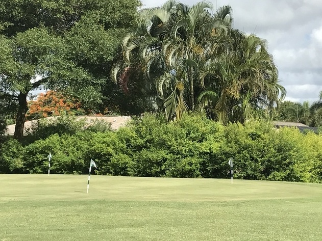 Image for ABSOLUTE AUCTION of North River Golf Club