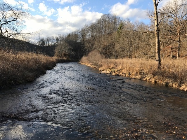 Image for AUCTION of Beautiful Log Cabin Home