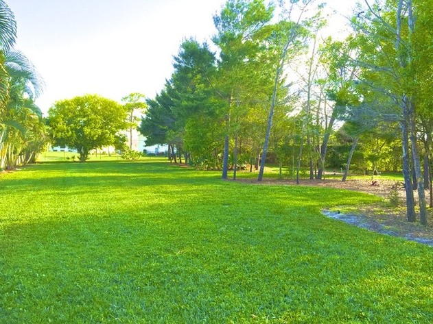 Image for ABSOLUTE AUCTION of Half Acre Rocky Point Homesite