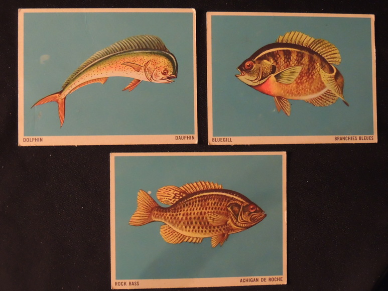 Image for TRADING CARD RETAIL STORE INVENTORY FULL DISPERSAL