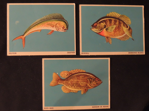 Image for TRADING CARD RETAIL STORE INVENTORY FULL DISPERSAL