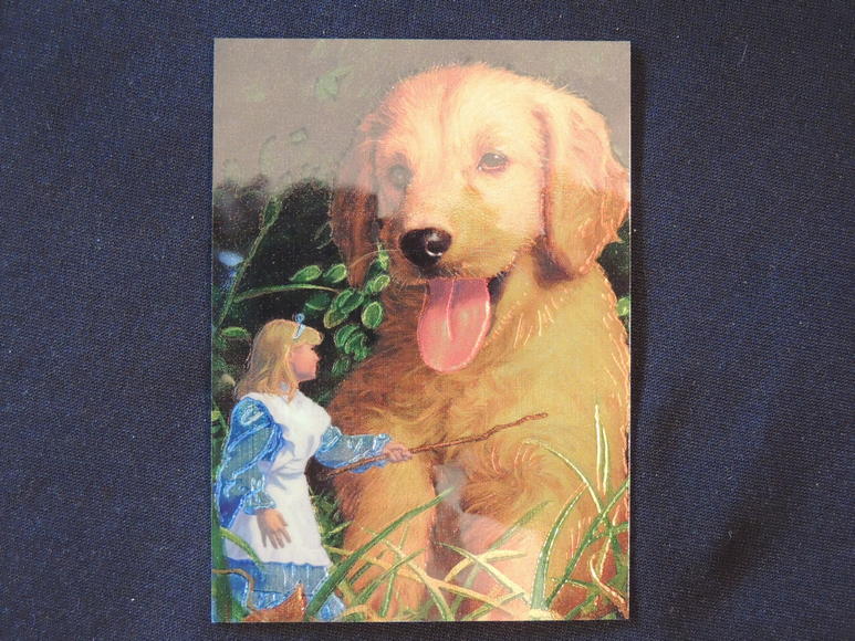 Image for TRADING CARD RETAIL STORE INVENTORY FULL DISPERSAL