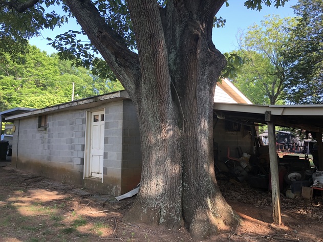 Image for House -Estate of Billie Gibbs Basinger(deceased)