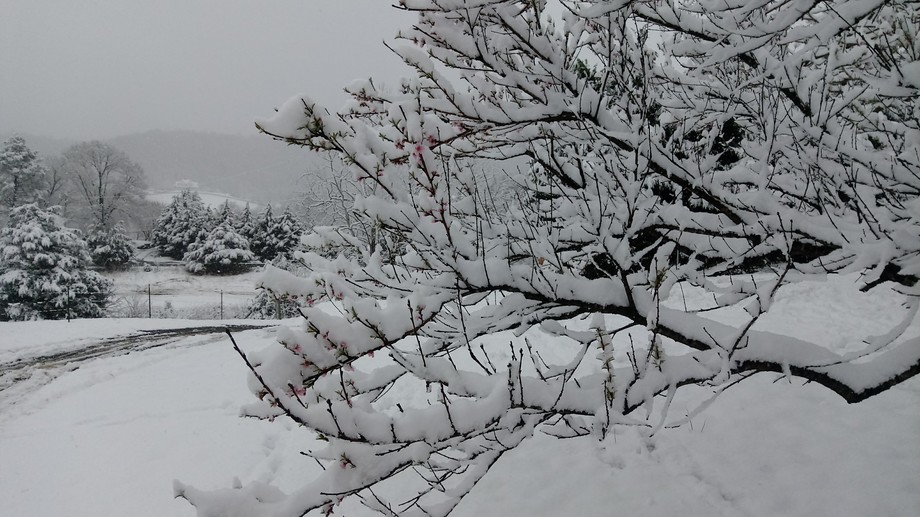 Image for 3140 Pennicks Mill Road