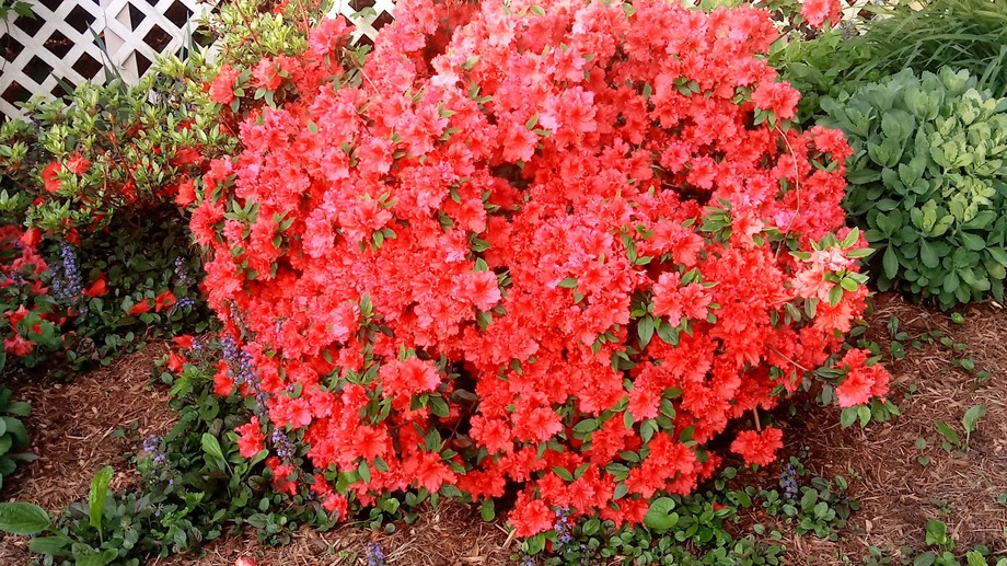 Image for 3140 Pennicks Mill Road