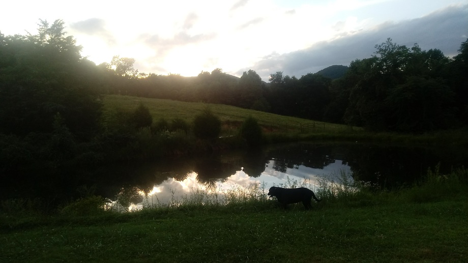 Image for 3140 Pennicks Mill Road