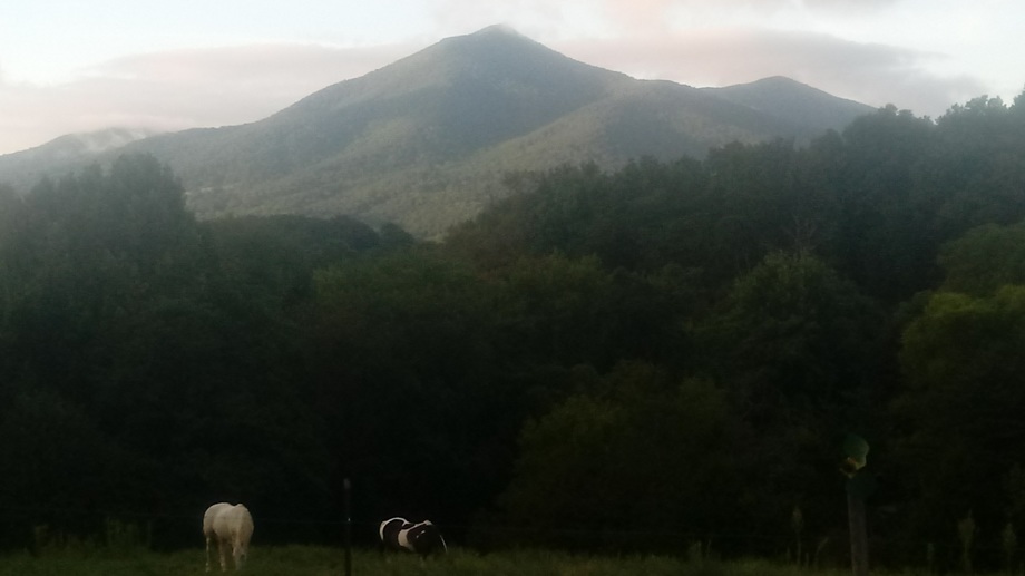 Image for 3140 Pennicks Mill Road