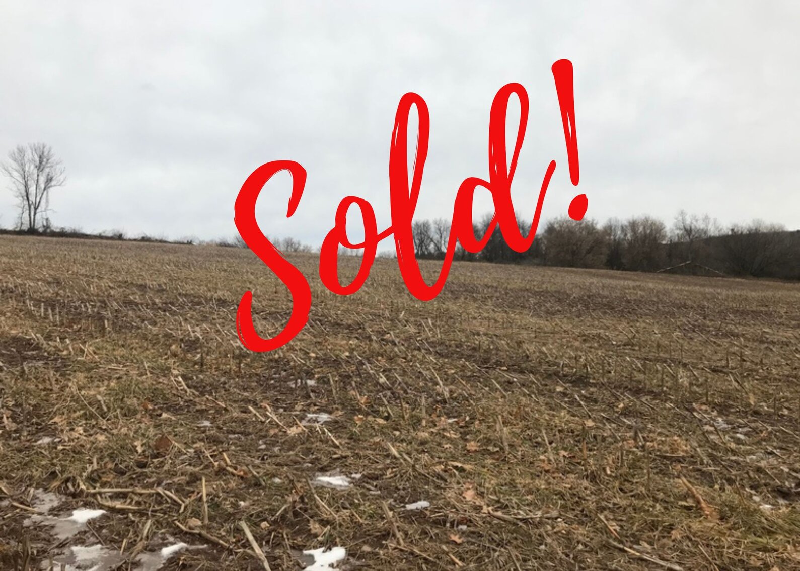 Image for Ready Trust - Approx 20 Acres - Great Wildlife Habitat