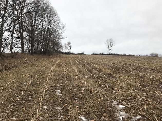 Image for Ready Trust - Approx 20 Acres - Great Wildlife Habitat