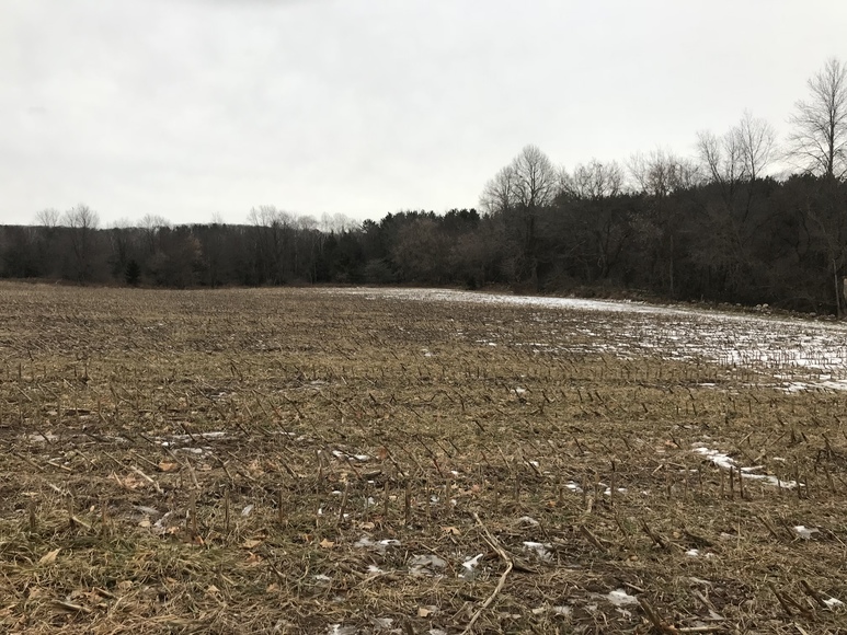 Image for Ready Trust - Approx 20 Acres - Great Wildlife Habitat