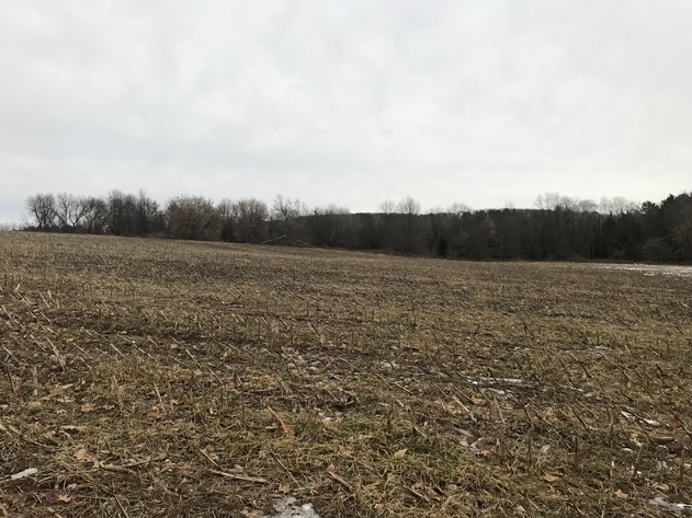 Image for Ready Trust - Approx 20 Acres - Great Wildlife Habitat