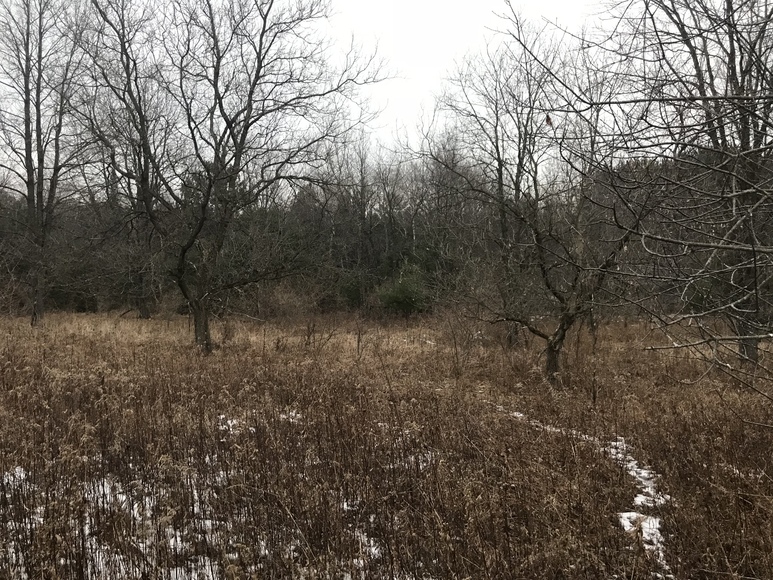 Image for Ready Trust - Approx 20 Acres - Great Wildlife Habitat