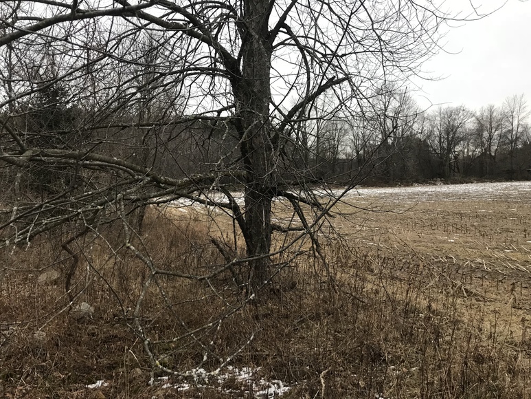 Image for Ready Trust - Approx 20 Acres - Great Wildlife Habitat