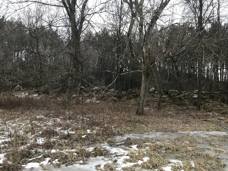 Image for Ready Trust - Approx 20 Acres - Great Wildlife Habitat