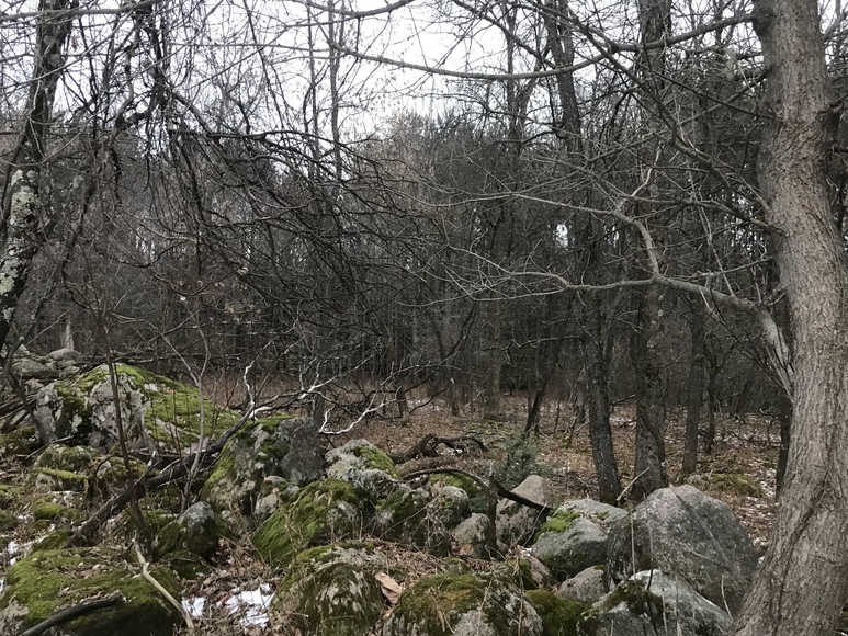 Image for Ready Trust - Approx 20 Acres - Great Wildlife Habitat