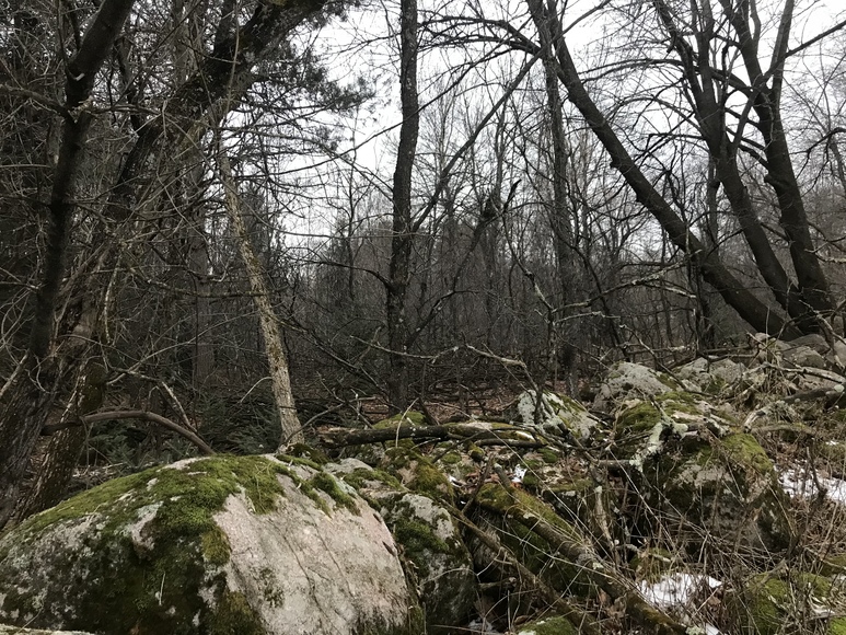 Image for Ready Trust - Approx 20 Acres - Great Wildlife Habitat